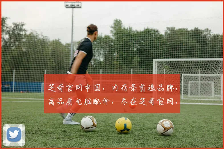 芝奇官网中国，内存条首选品牌，高品质电脑配件，尽在芝奇官网，购物无忧