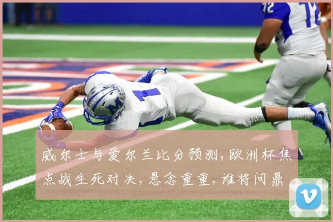 威尔士与爱尔兰比分预测,欧洲杯焦点战生死对决,悬念重重,谁将问鼎