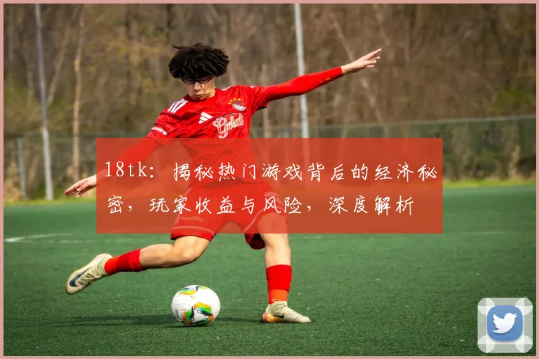 18tk：揭秘热门游戏背后的经济秘密，玩家收益与风险，深度解析